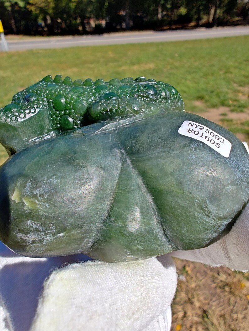 Certified Authentic Canadian Yukon Nephrite Jade Hand Carved Lizard (Not Big Sur Jade) - Image 3
