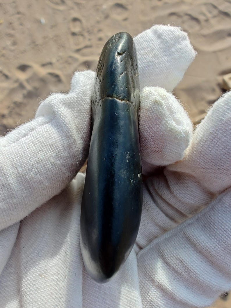 Dive Piece! Ocean Polish Big Sur Jade Palm Stone - Image 3