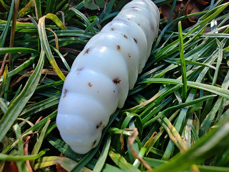 Authentic Handmade White Nephrite Jade Worm Pendant