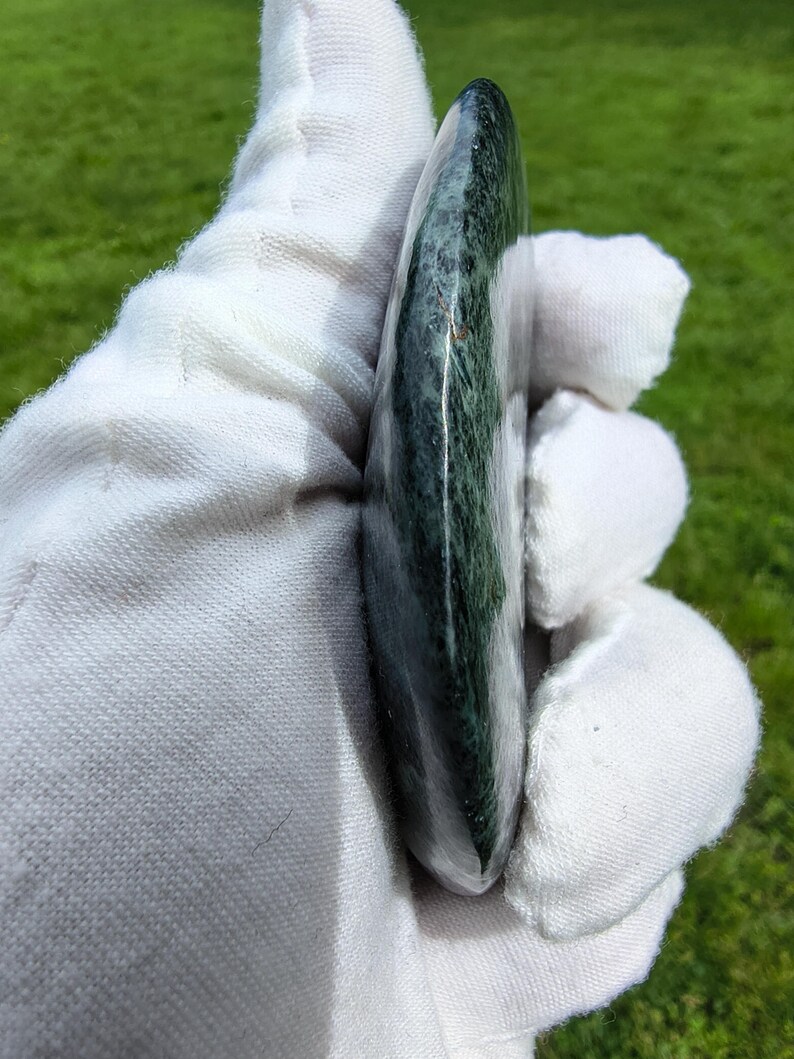Dive Piece! Ocean Polish Rare Big Sur Jade Palm Stone - Image 4