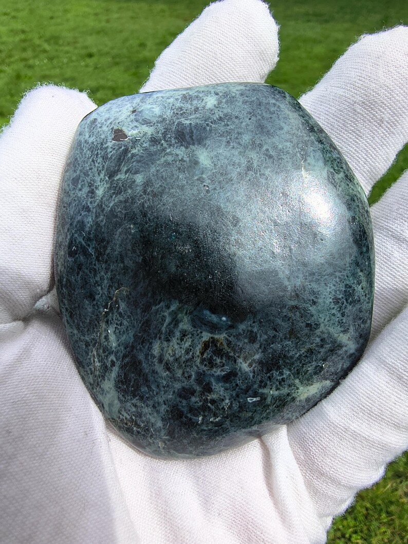 Dive Piece! Ocean Polish Rare Big Sur Jade Palm Stone - Image 2