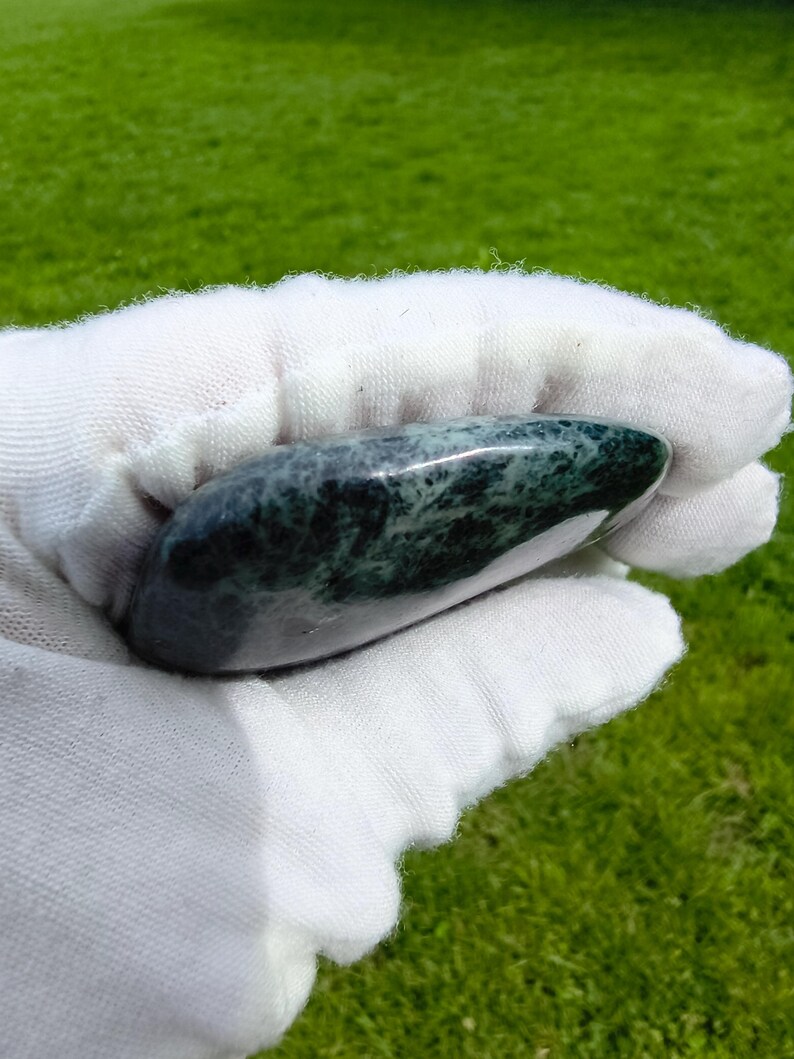 Dive Piece! Ocean Polish Rare Big Sur Jade Palm Stone - Image 3