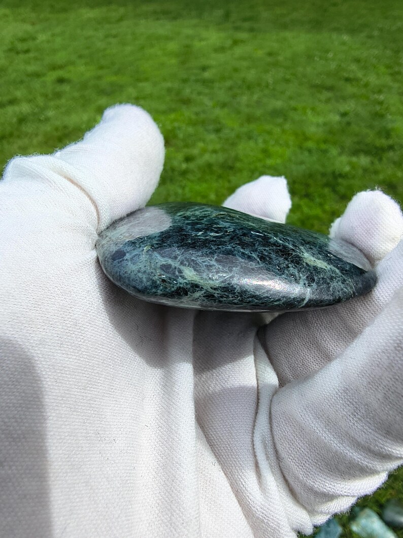 Dive Piece! Ocean Polish Rare Big Sur Jade Palm Stone - Image 6