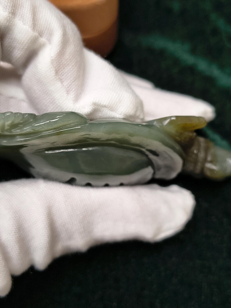 Certified Hand Carved Nephrite Jade Softshell Turtle - Image 9
