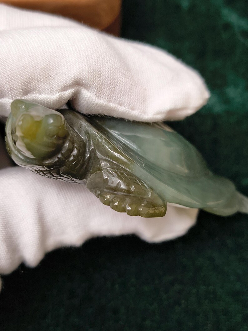 Certified Hand Carved Nephrite Jade Softshell Turtle - Image 2