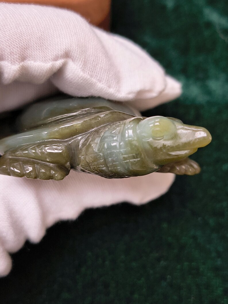 Certified Hand Carved Nephrite Jade Softshell Turtle - Image 8