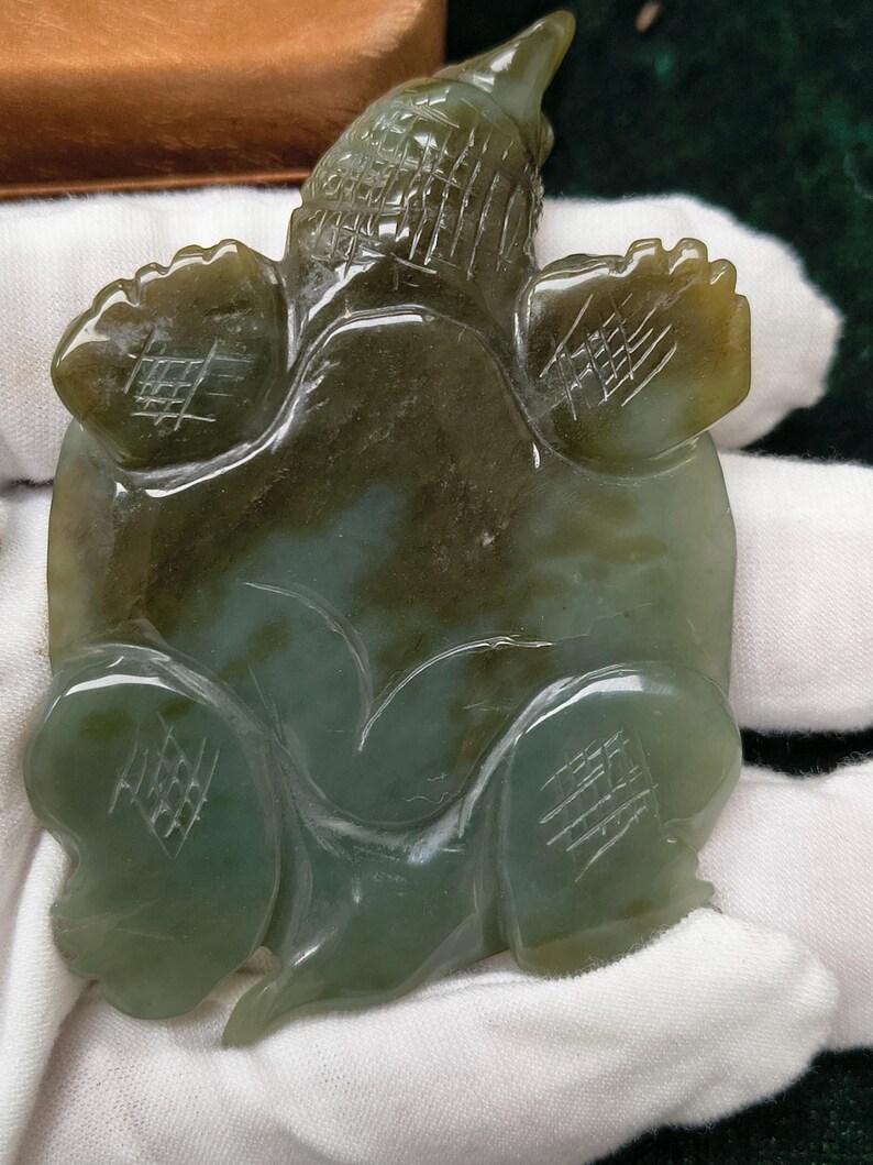 Certified Hand Carved Nephrite Jade Softshell Turtle - Image 6